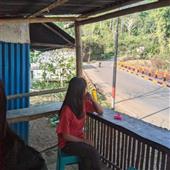 Biểu