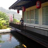Sứ