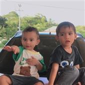 Bỏ