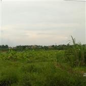 Bà