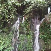Chơi