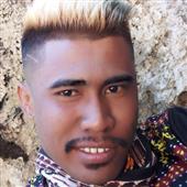 The 