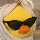 Kèo 