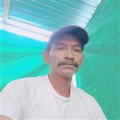 Bộ t