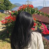 Rele