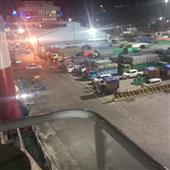 Trực