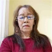 khỉ 