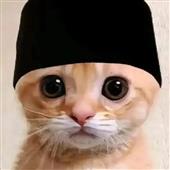 Vỡ n