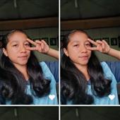 Bộ q