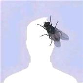 Nh
