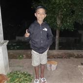 Gi