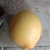 Tỷ