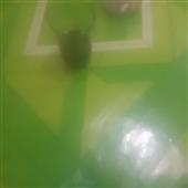 Mẹ