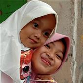 Cung