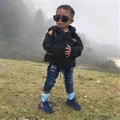 Bầy 