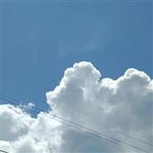 Ng