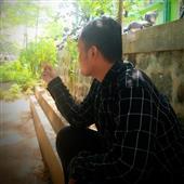 Gà