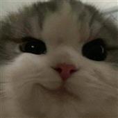 Đô