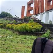 Liên
