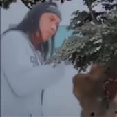 Voi 