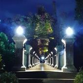 Nữ h
