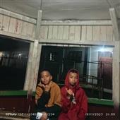 Alib