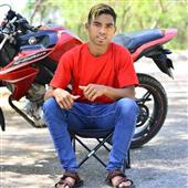 Cung