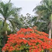 Tỷ