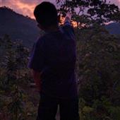 Truy