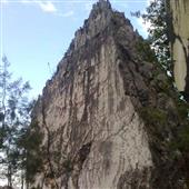 Cuộc
