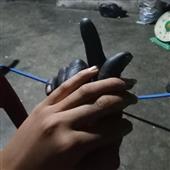 Wo