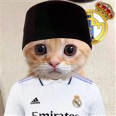 Trò 