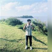 Trực