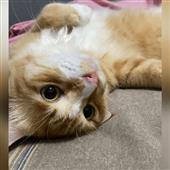 ĐẠ