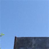 Ng