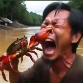 Vậ