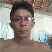 Trực
