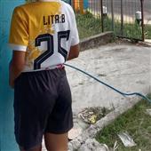 Qu