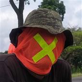 Cư