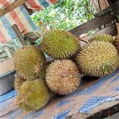 Ki