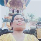 Gấu 