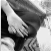 Limb