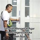 gấ