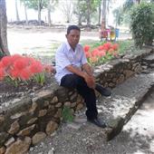 Dự