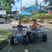 Vươn