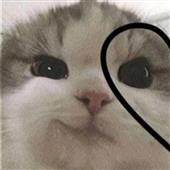 Qu