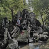 Trực