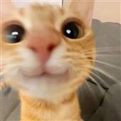 Đườn