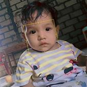 Apol