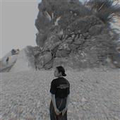 Tỷ l